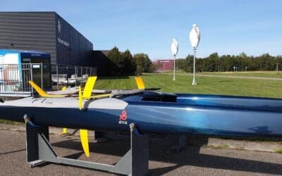 2019 DNA F1 A-cat